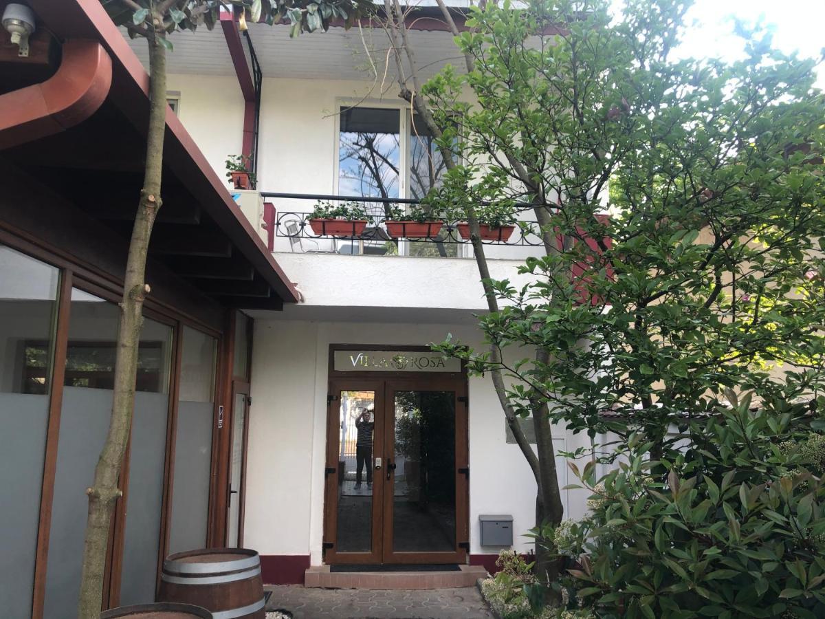 Villa Rosa تيميشورا المظهر الخارجي الصورة